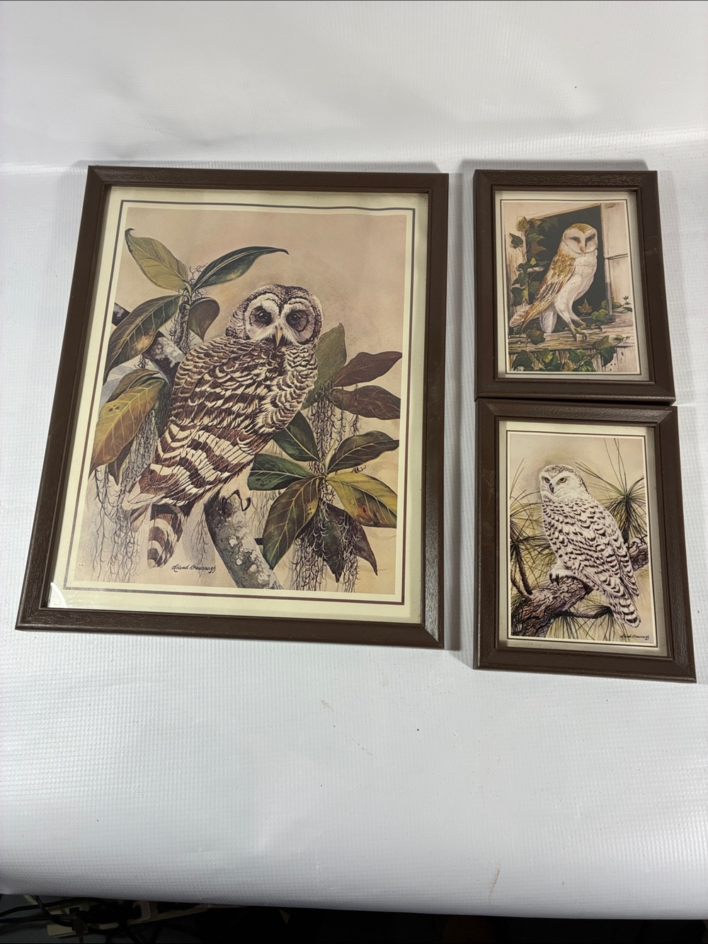 Vintage Leland Brewsaugh Framed Owl Prints Set of 3 Coottagecore Home Decor